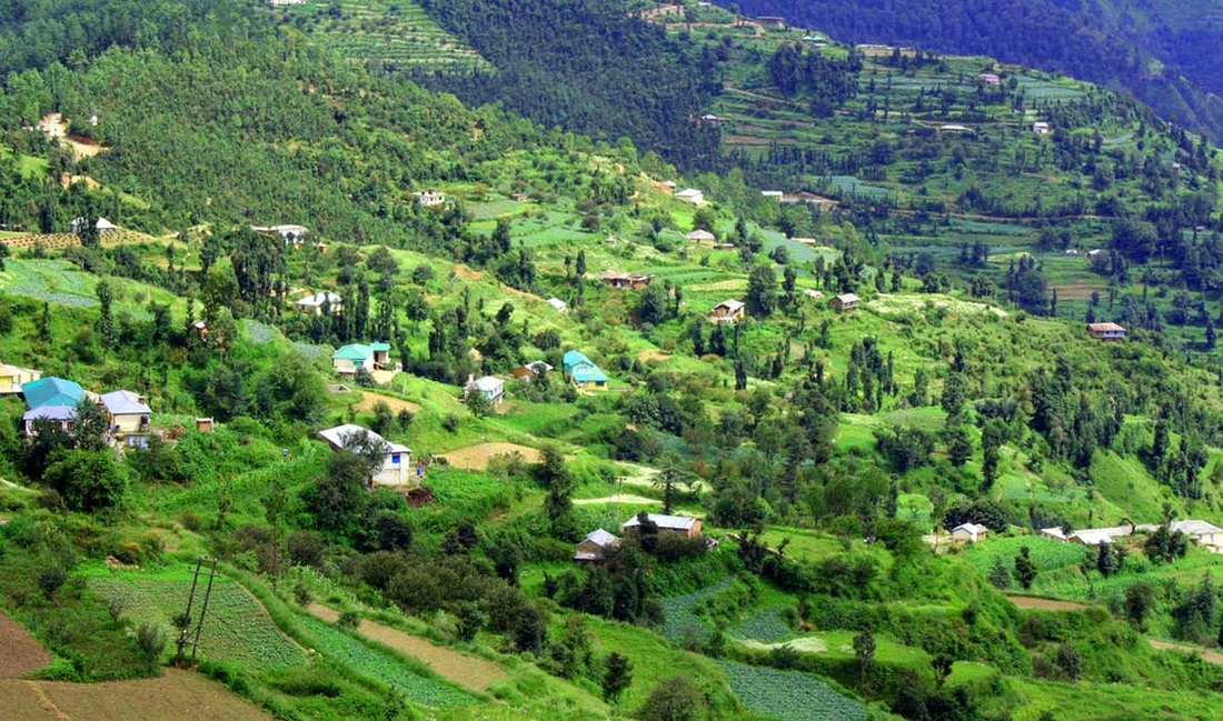 Himachal and Parwanoo