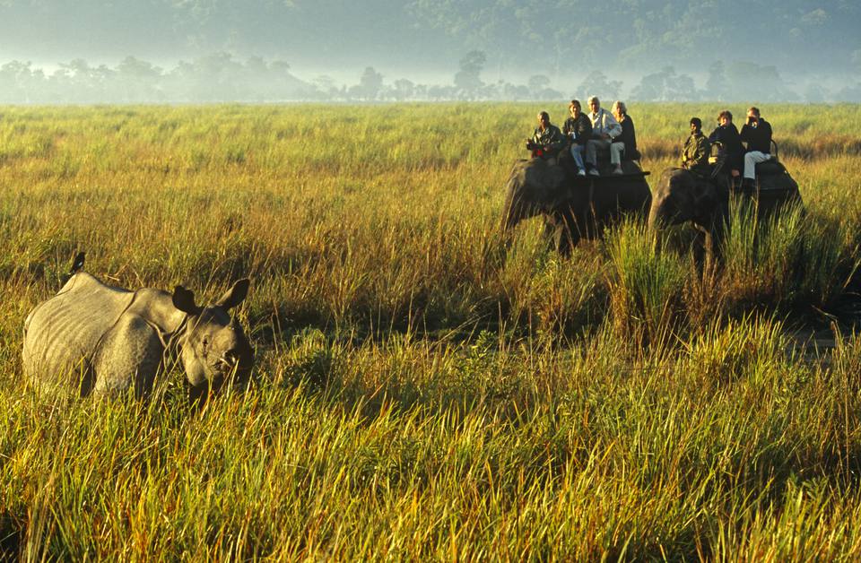 North East and Assam with Wild Life